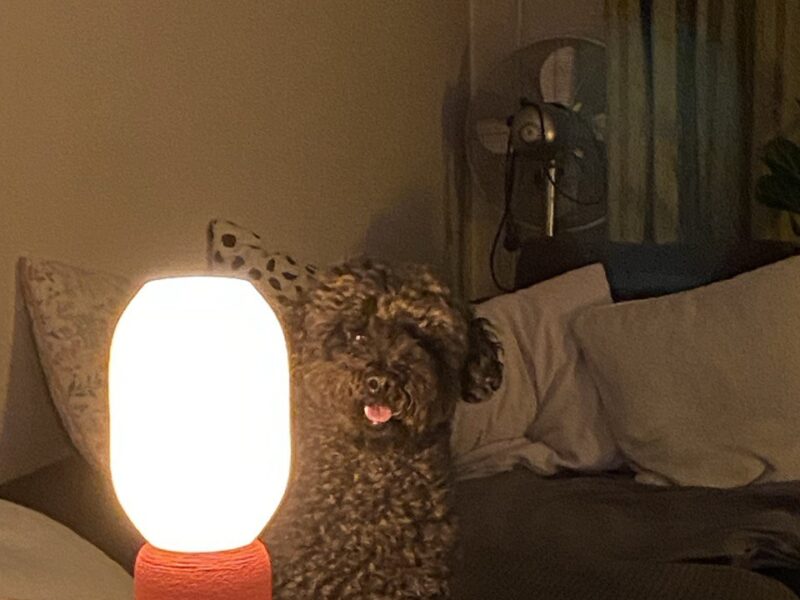 3D printing services